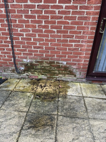 Roof overflow pipe leak