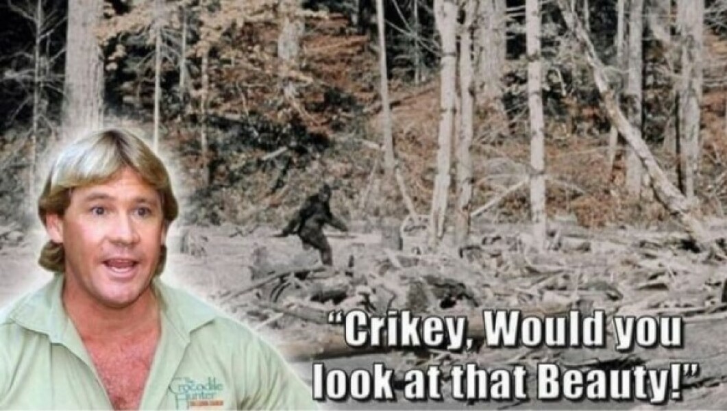 Anyone else believe in Bigfoot/Sasquatch?