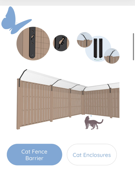 A complicated neighbour/cat problem!
