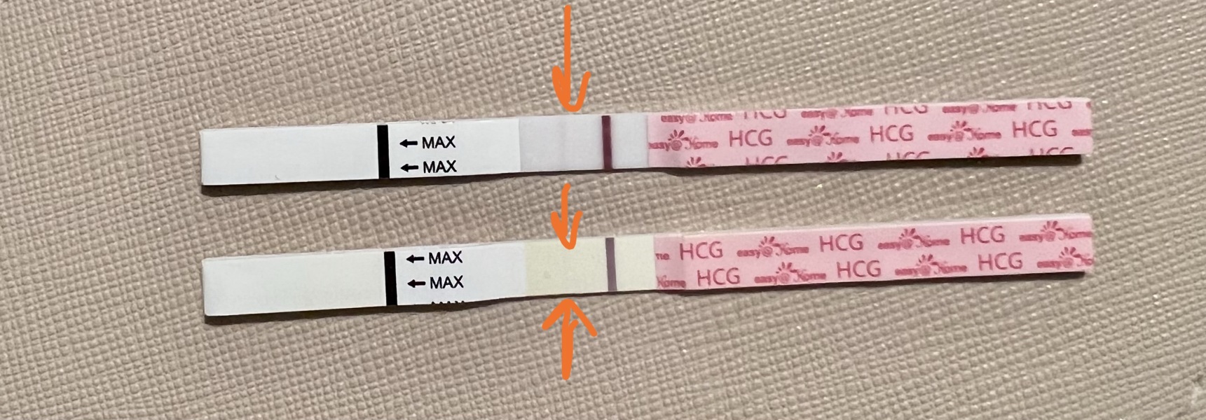 OCTOBER 2024 BABIES!