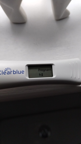 OCTOBER 2024 BABIES!