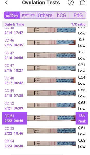 Late BFP?