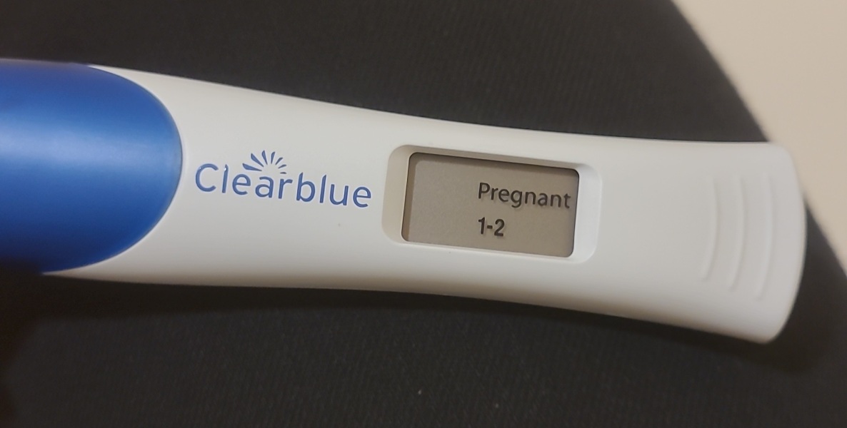 TTC February 2024 ✨