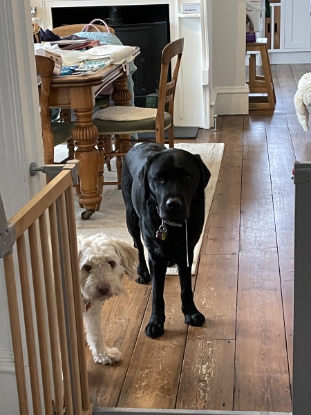 Cancer Support Thread 92 - Christmas Happy Hour at the Patience Inn 7pm tonight 🎄