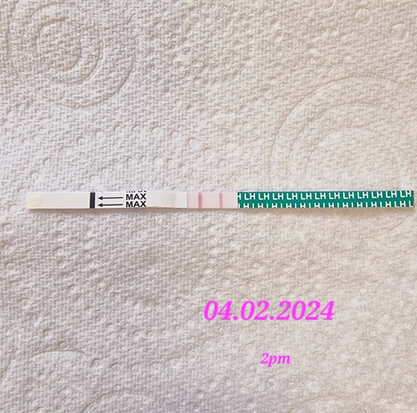 Confused first time using ovulation tests
