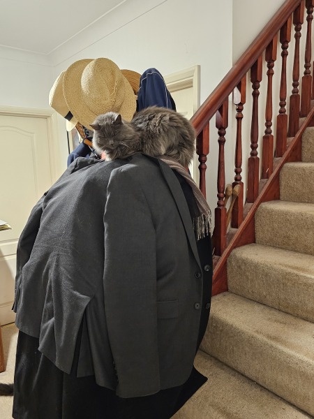 Tales and Tails and NMCs  -  the Excellent Cats March On
