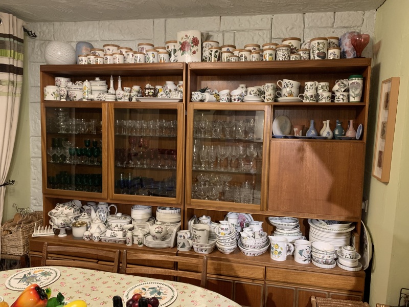 The Only True Dinner Plates Are White