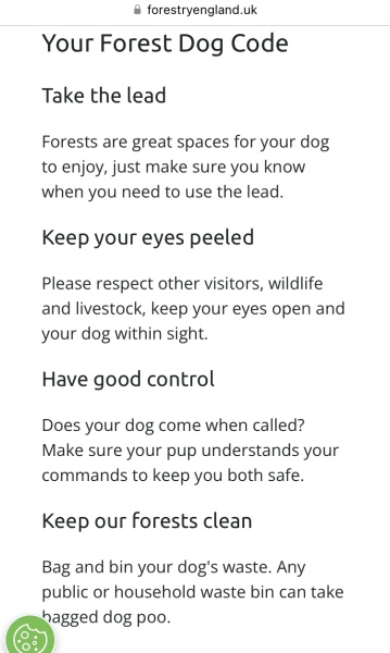 To not pick up dog poo...