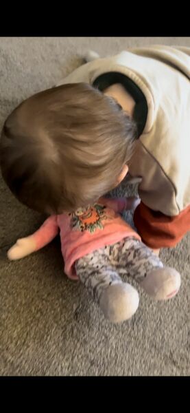 Buying my DS a baby annabel doll!