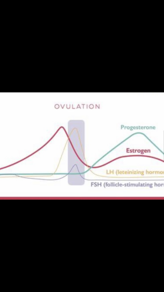 Anyone TTC Dec 2023…continued