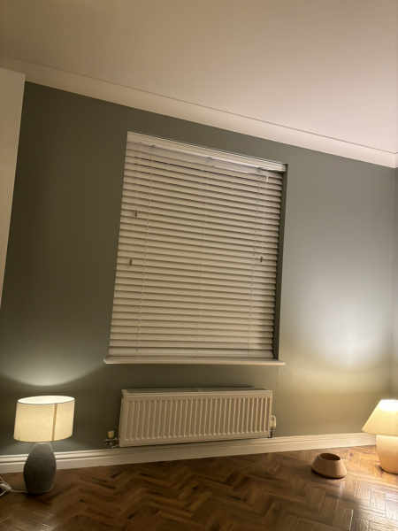 Massive mistake re window blinds