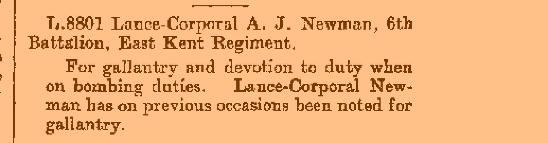 Can anyone help me find a soldier...?