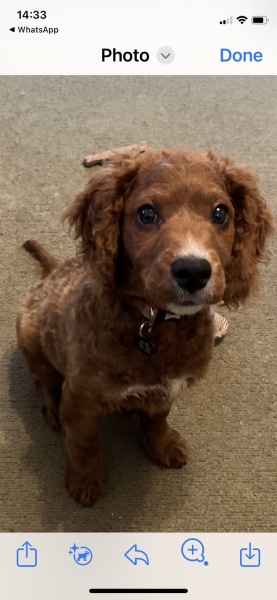 Will we ever be able to leave him?