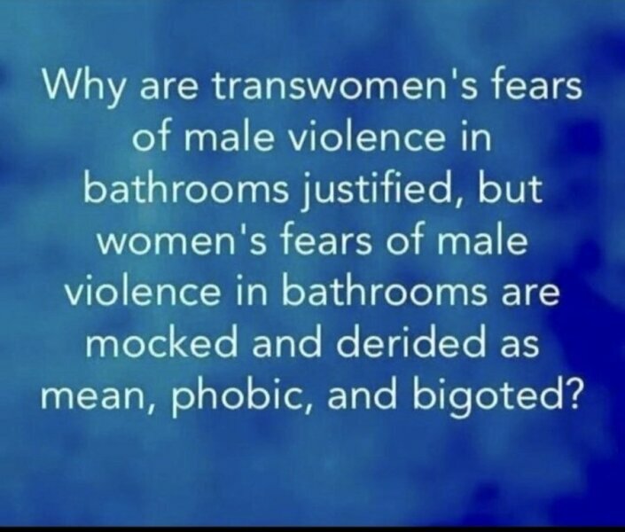 Why are separate spaces for trans people unacceptable (to trans people)?