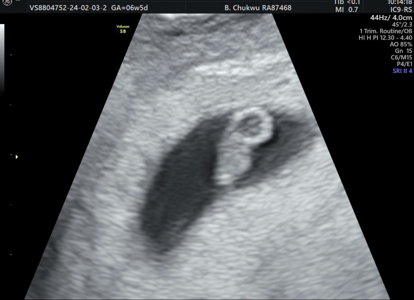 Due September 2024 PART 3 ❤️🩷💛💚💙💜