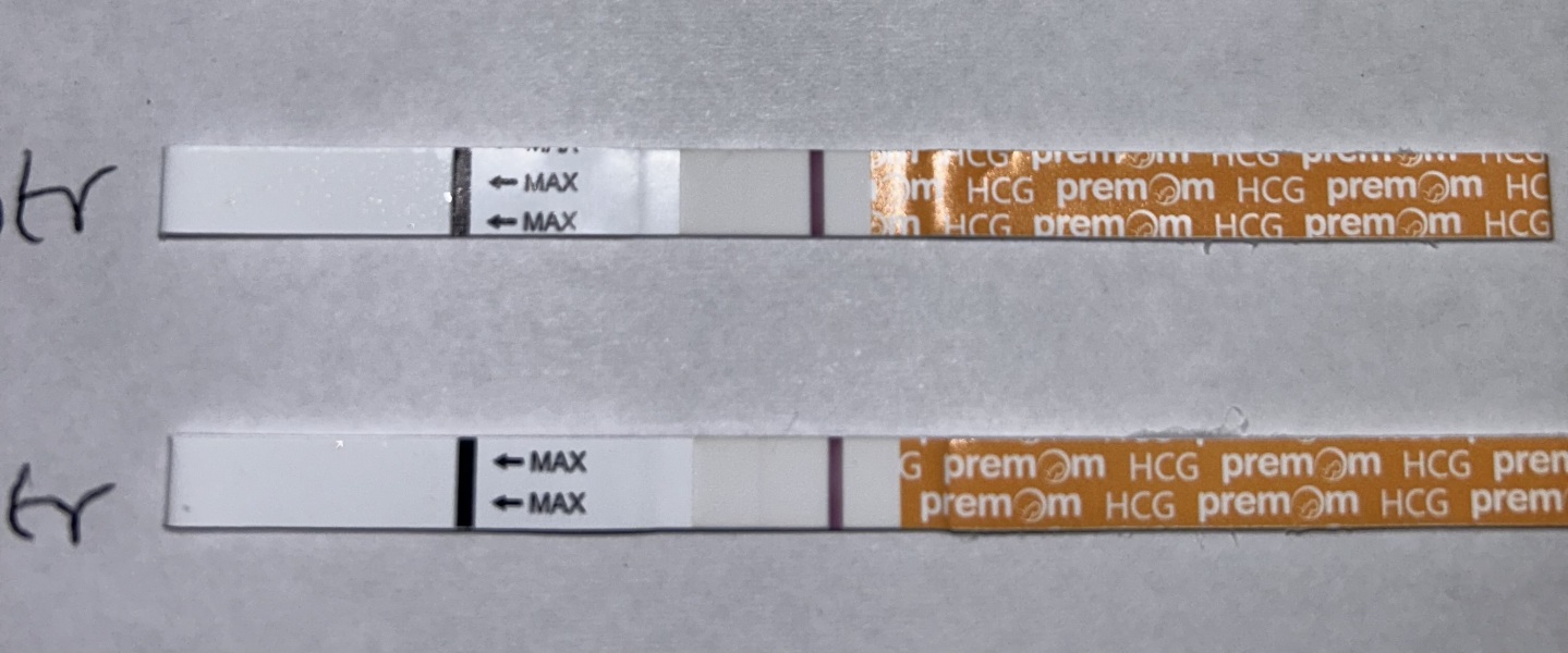 Monitored cycle / HCG trigger / timed intercourse