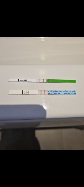 CD1 ttc after loss carry on thread #2