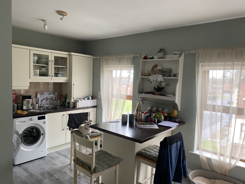 Need help to pick a dulux wall colour