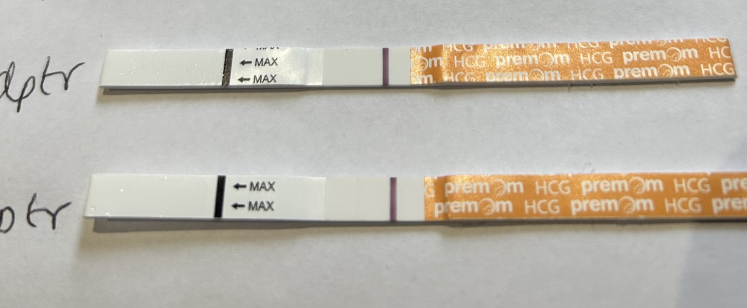 Monitored cycle / HCG trigger / timed intercourse