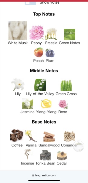 Help me find a perfume?