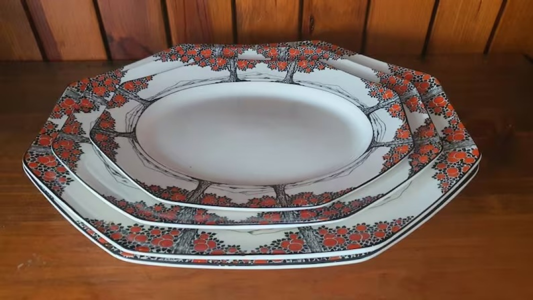 The Only True Dinner Plates Are White