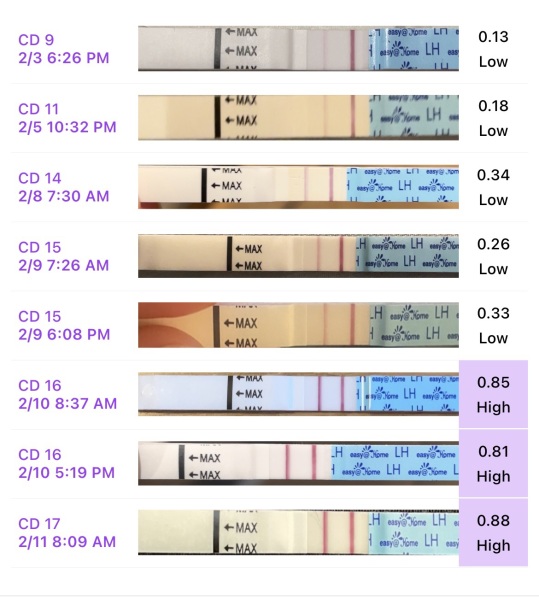 Ovulation test help