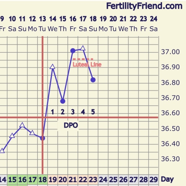 TTC after early miscarriage part 2
