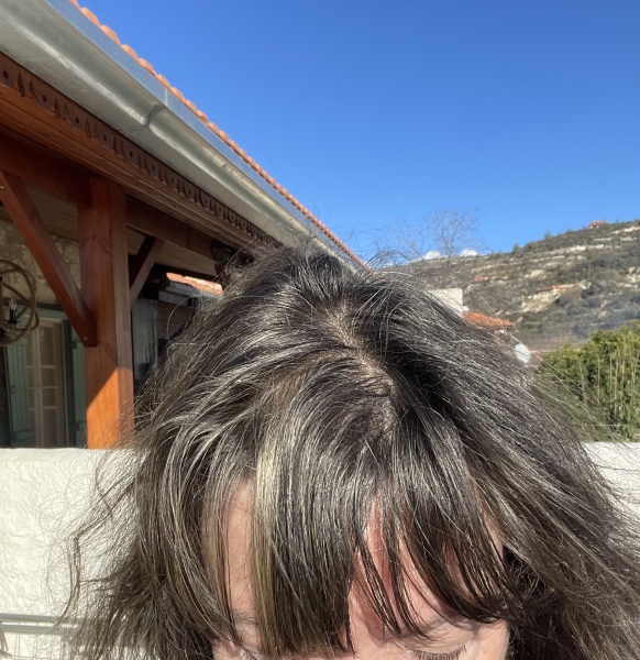 Covering grey in naturally brunette hair - is there an “easy” option I’m missing?