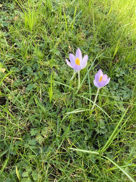 Come and tell me your dull and unexciting news 28: Calmly through the day