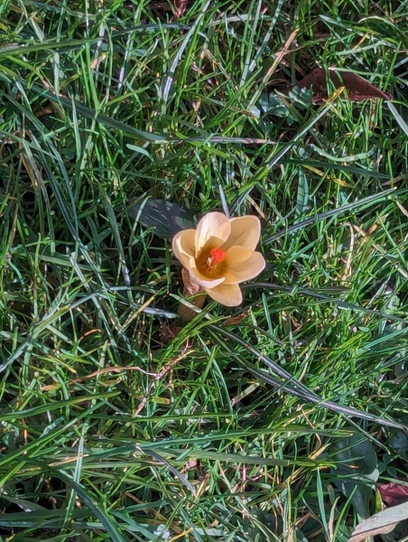 What have you done in the garden today? Part 3