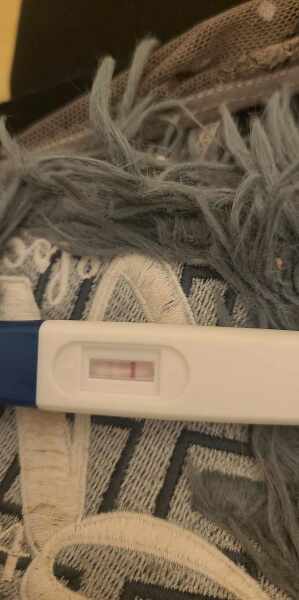 6dpo