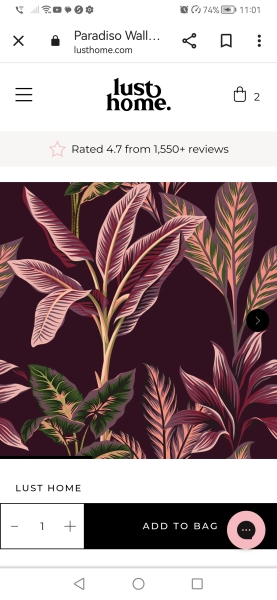Help me choose my wallpaper?