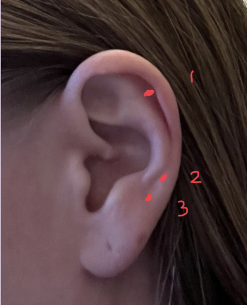 I fancy a new piercing or two - help me choose