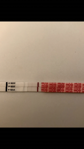 TTC February 2024 ✨