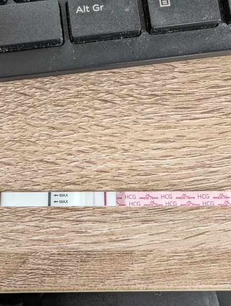 TTC after early miscarriage