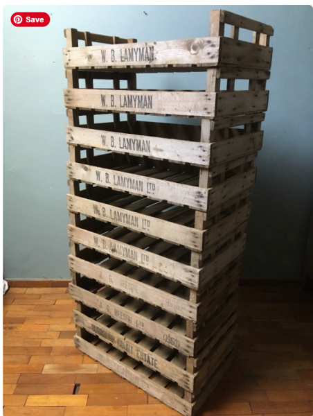 What should we do with these trays?