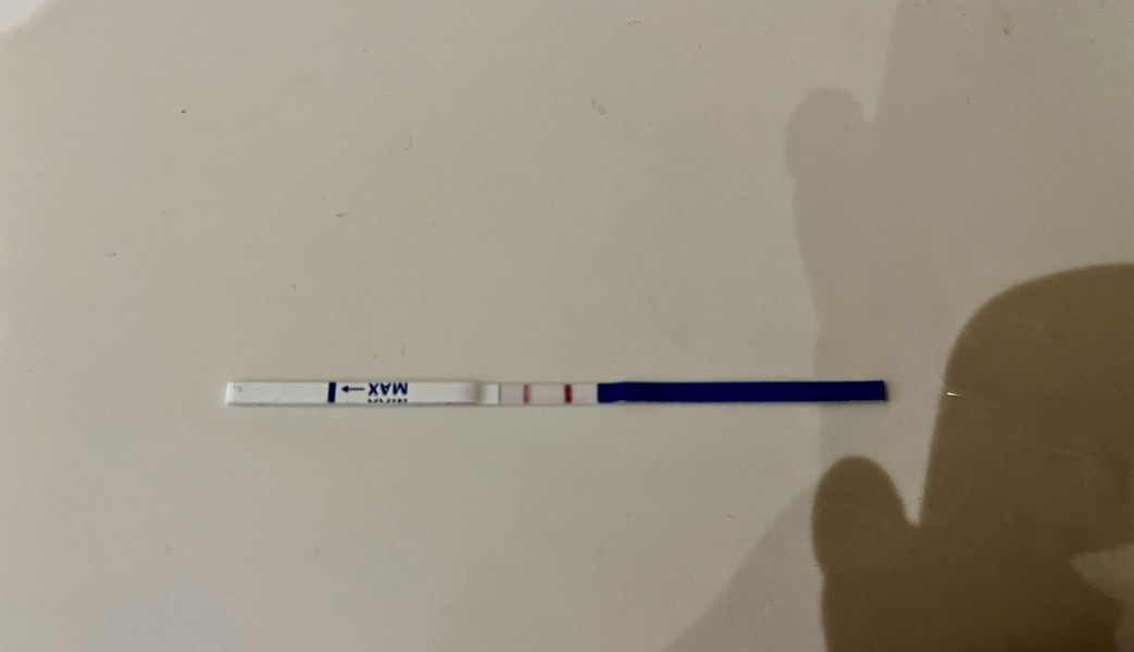 TTC February 2024 ✨