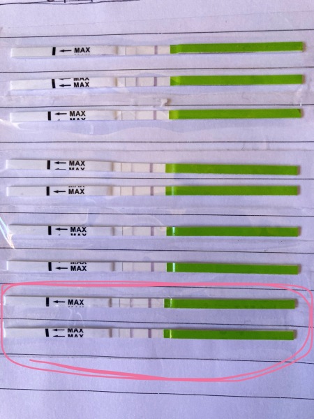 Am I ovulating? (Pics)