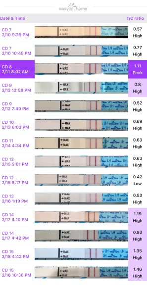 TTC- High Lh for 9days + , ovulation tests