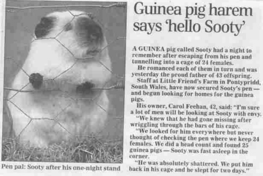 Tell me about a story in the news that you often think about