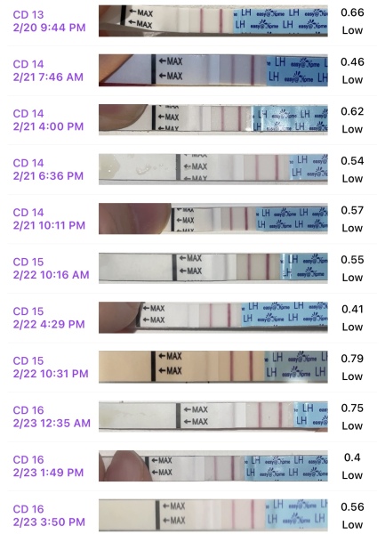 Which test was my peak?