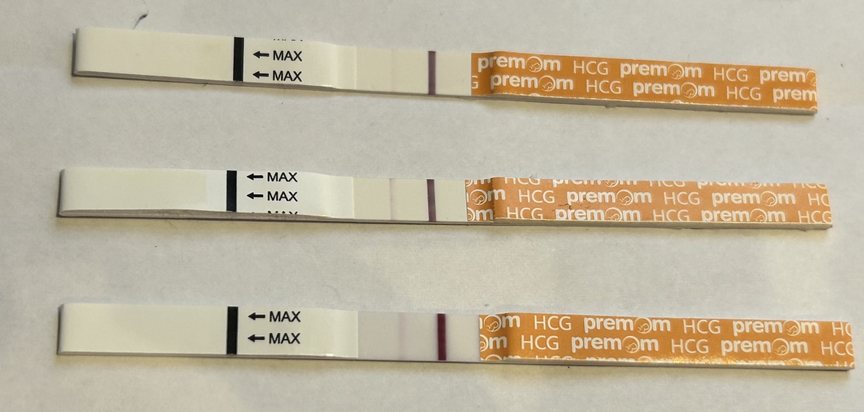 Monitored cycle / HCG trigger / timed intercourse