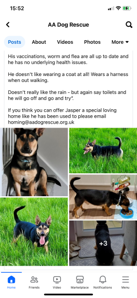 Reputable dog rescue centres - Norfolk or surrounding areas
