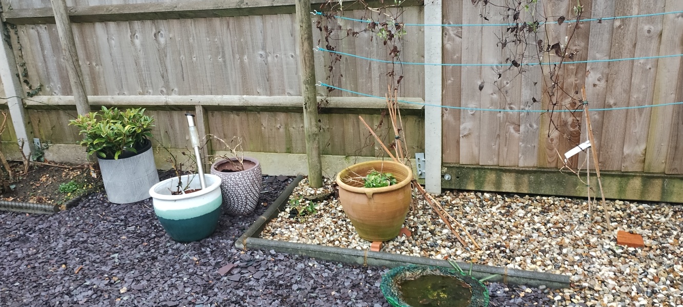 Help me revive my mum's moonscape