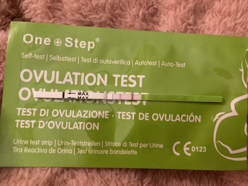 Am I ovulating? (Pics)