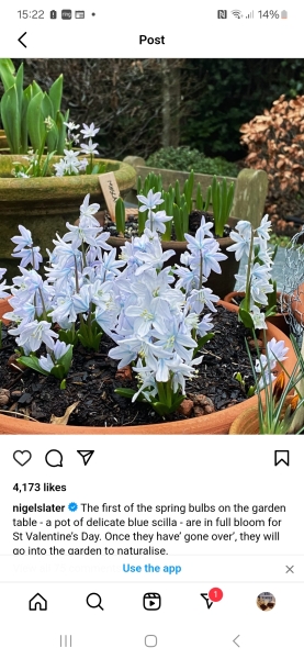 Nigel Slater Christmas Chronicles Read Along 2023 - Part Two