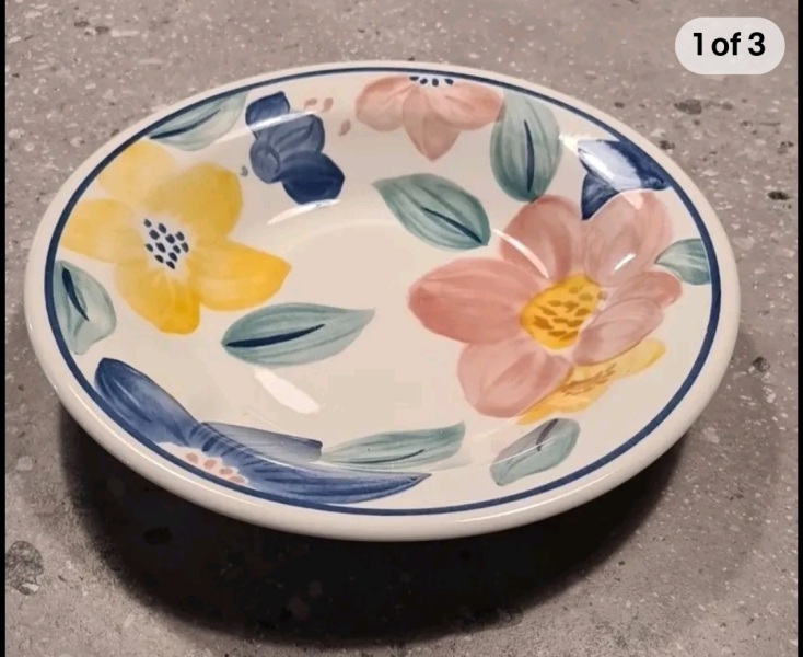 The Only True Dinner Plates Are White