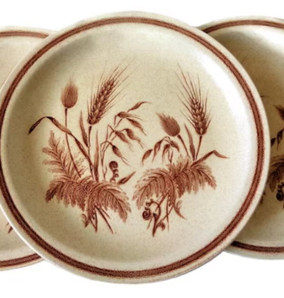The Only True Dinner Plates Are White