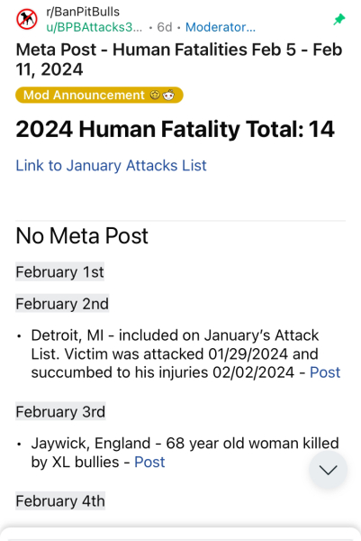 XL Bully attack | 8 year old boy seriously injured