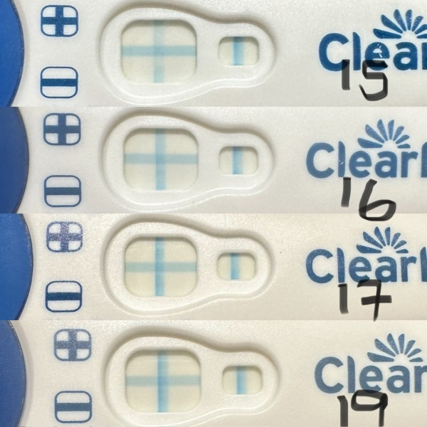 19dpo lines not progressing :(